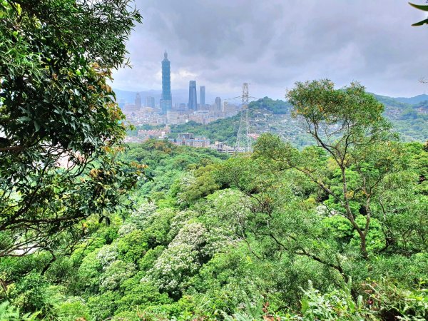 台北大縱走第六段縮減版，富陽生態自然公園，福州山，中埔山東峰，軍功山，拇指山，糶米古道，烏來瀑布1697340