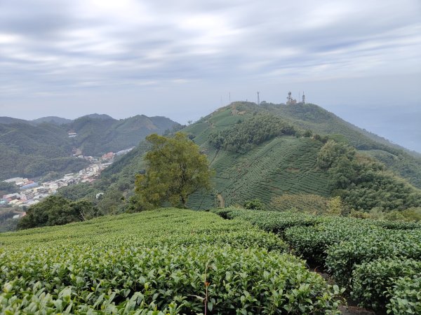 2023.12.23 梨子腳山2833268