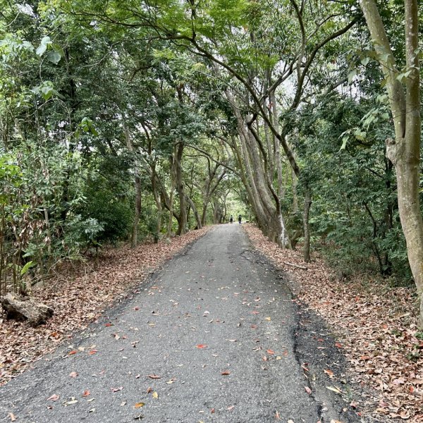 二水登廟步道連走松柏坑山2121544