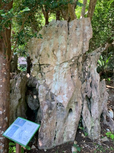 大石林山672546