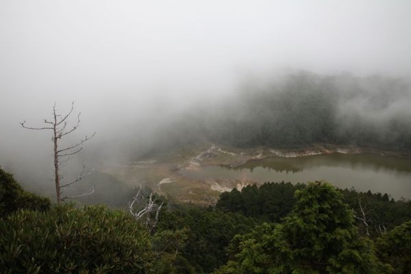 翠峰湖環山步道216540