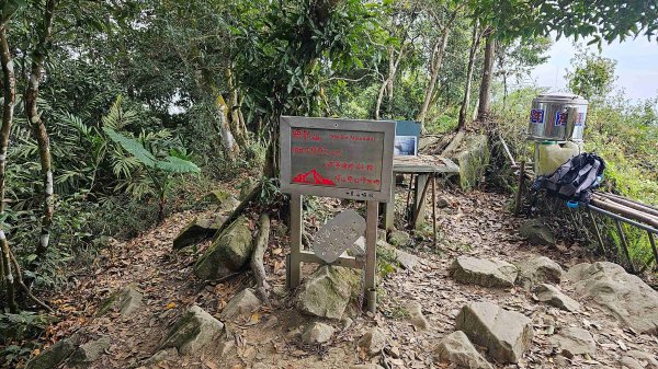 暗影山三進三出2366569