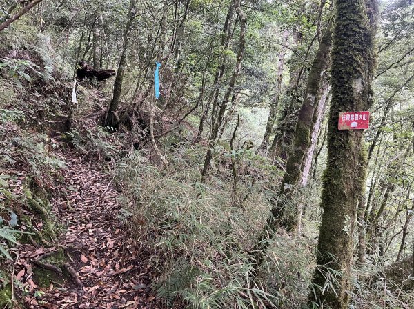 2025_0622 霞喀羅大山2819215