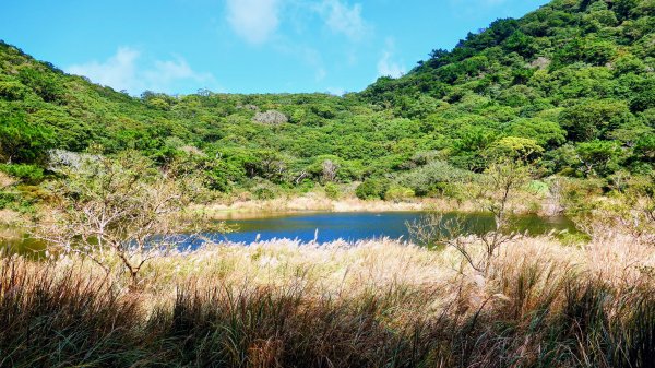 向天蝦不蝦2936811