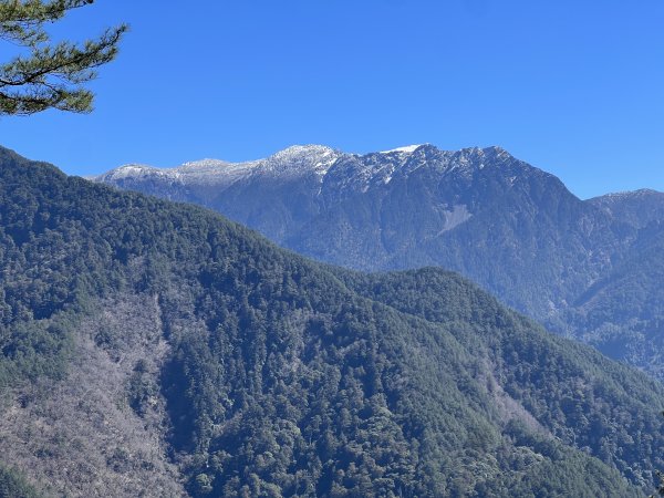 【駒盆西稜上馬博下嘆息灣D1】龍貓公車、郡大溪與積雪玉山2443681