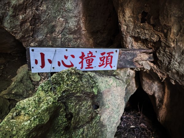 [百山百鳥尋旅-02/15] 2025_0809 社頂自然公園步道2857085