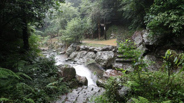 首次走苗冷步道與環七星山人車分道之頂湖至百拉卡公路入口段