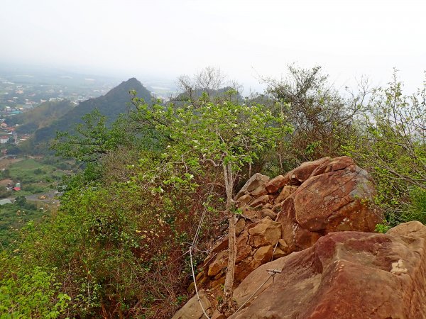 旗月縱走 2019/3/24551742