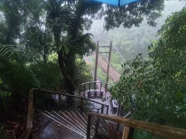 雲嘉十八連峰2589572