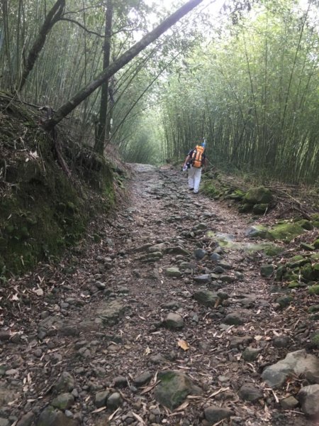 20181026-大凍山初登444938