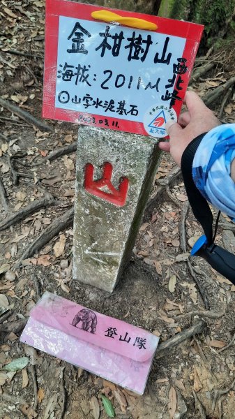 《南投》忘憂森林｜嶺頭山及金柑樹山O繞(留龍頭起登)202303182076816