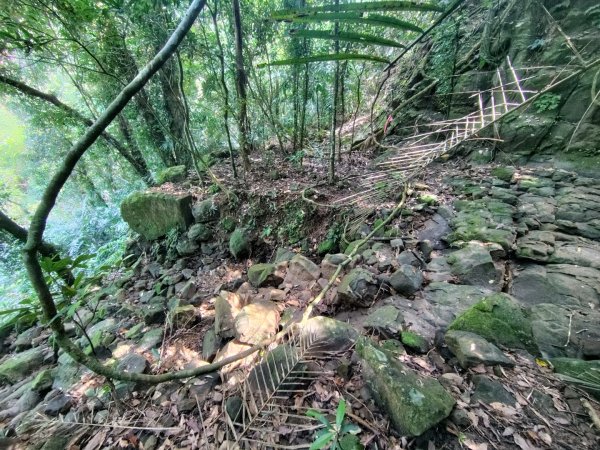 唐子恩山 廢棄油礦封面