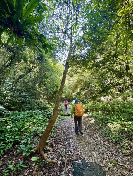 八結古道 頭寮山 慈湖3040528