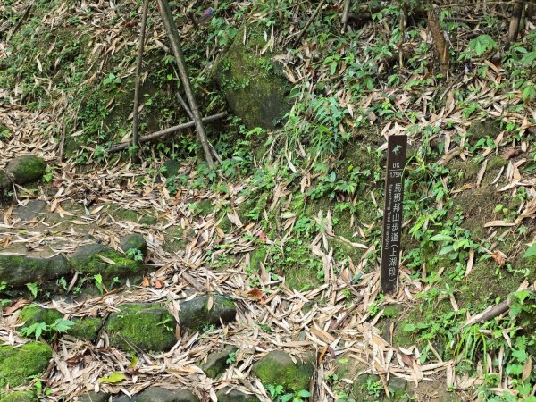 夏日的馬那邦山2786836