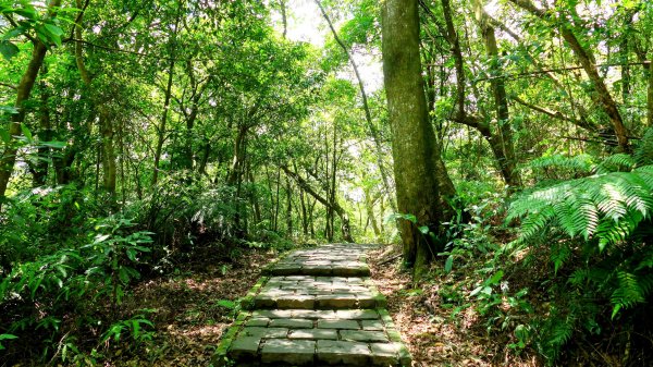 內雙溪自然中心2808698