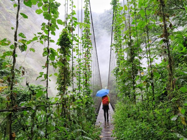 石夢谷 - 山、水、石、樹之美1142671