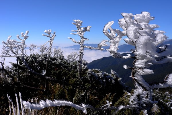 風雨雪中嘉明湖初登場1182072