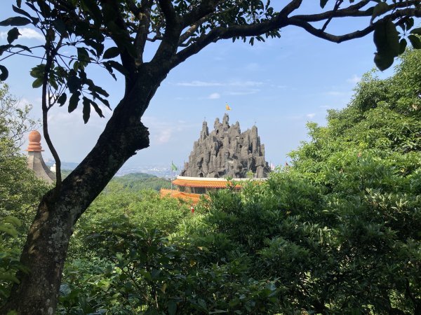 大棟山登山步道2496083