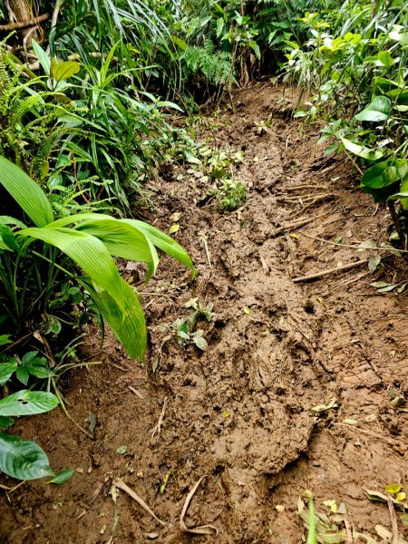 紅頭山-小百岳#97-台東縣蘭嶼鄉2901070