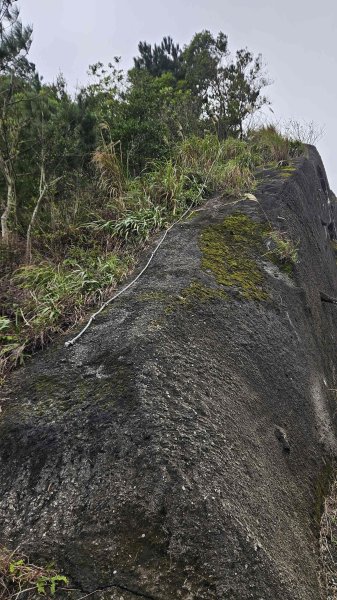 20260203石頭厝山-如意湖-彩虹橋稜線2996799