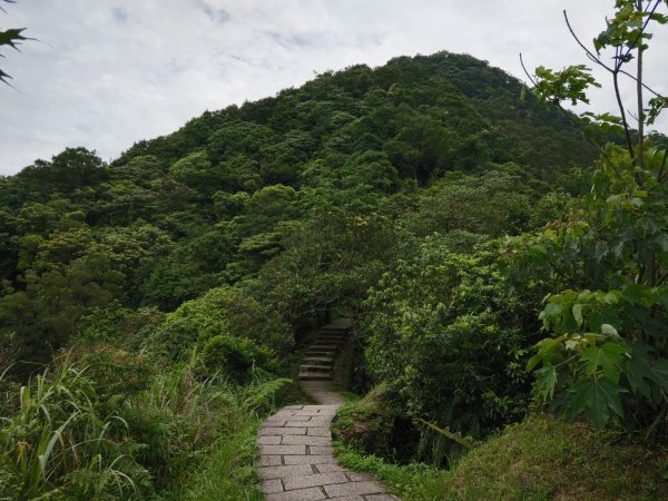 大尖山步道1006921