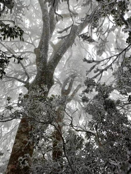 雪季北得拉曼2956388