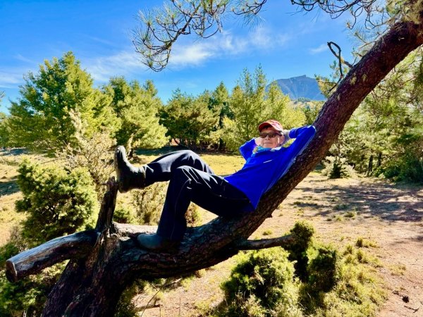 啟動高山度假模式~金牌三小隊之馬博橫斷8日2965242