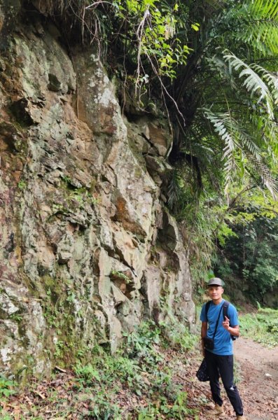 【中級山】有熊森林，谷關三雌白冷山2741085