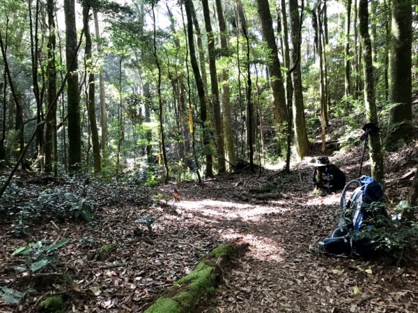 搭過山車飛越哈加縱走1132920