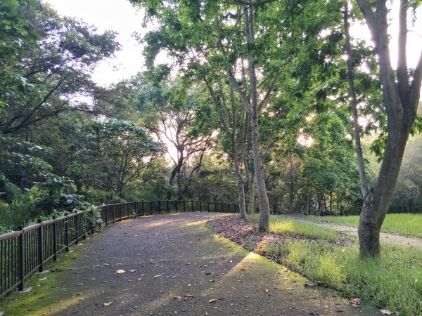 赤水崎公園+田中森林登山步道1428346