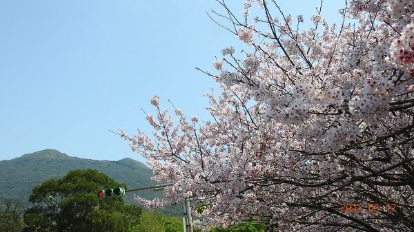 追花是簡單的快樂，賞花是恬淡的幸福。3/172073411