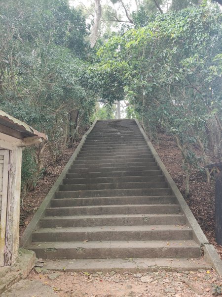 玉里神社步道1774347