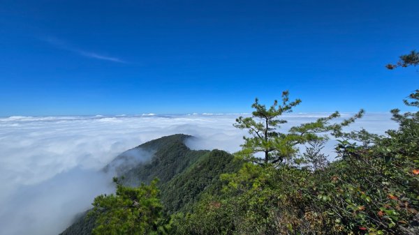 鳶嘴山雲海季開動嘍2634286