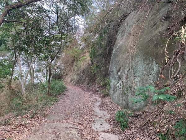 台中霧峰奧山2135010