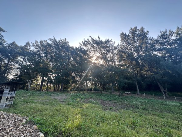 永安漁港、新屋海濱植物園2657313