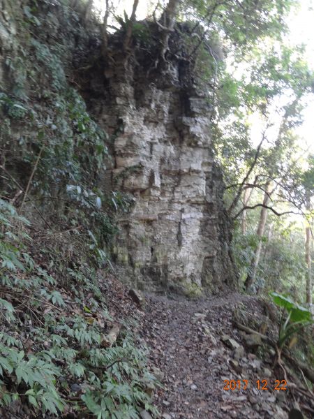 20171222泰安上島山(鳥嘴山)229760