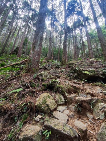 橫沙笛縱走2668680