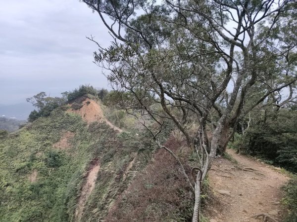 1140206火炎山3097972