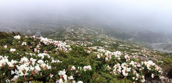 190518-雪山主東峰1650223