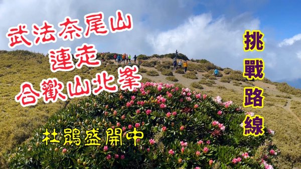武法奈尾山縱走合歡山北峰