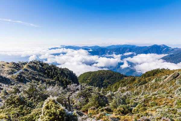 南二段撤退行2743225