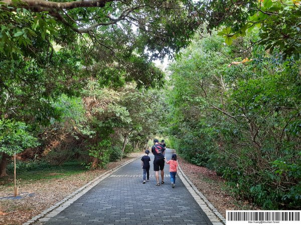 《台中》都會公園步道漫步202011011151252