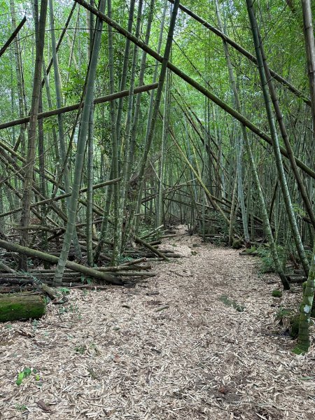 瑞太古道串走奮瑞古道2297972