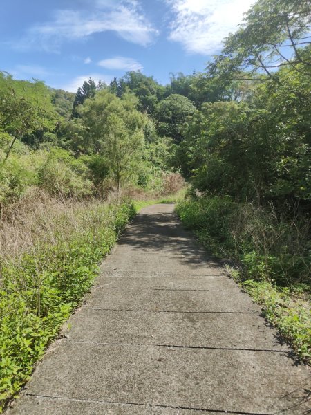 香路古道(巡護中路徑不明顯)暫時不要去2529803