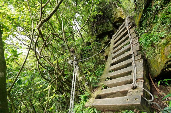 新北 新店 獅仔頭山、粽串尖、大丘田山2804289
