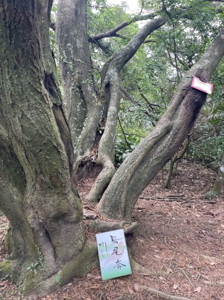 雙港仔群峰2794252