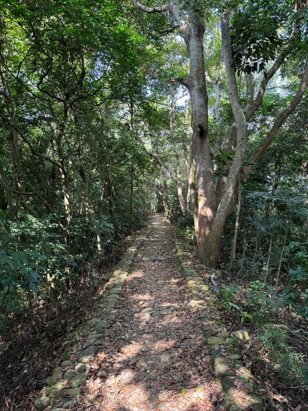 待人坑隴頂古道1892014