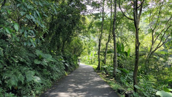 福山部落,內洞森遊區2552396