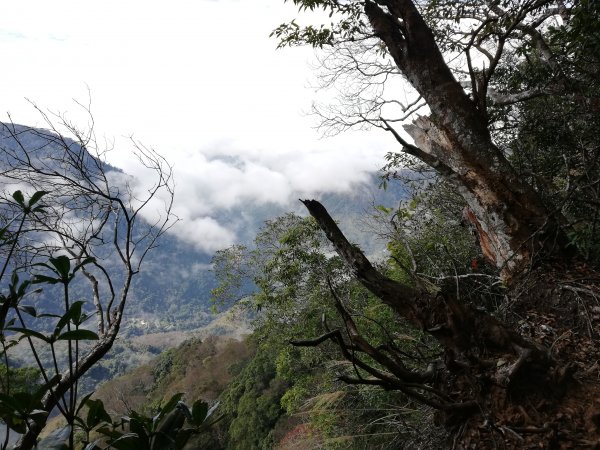 ~ 鳥嘴山登山步道(上島山) ~807802