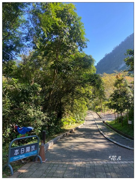 鳳凰谷鳥園步道2695888